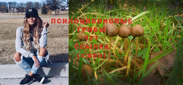 прущая мука Бугульма