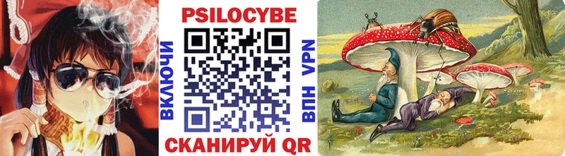 хочу   Гремячинск  Псилоцибиновые грибы мухоморы 
